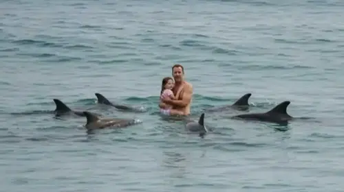 İNGİLİZ YÜZÜCÜ YENİZELANDA’DA KIZI İLE KÖPEK BALIĞI DAN BÖYLE KURTULDU!