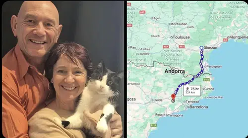 İSPANYA’DA KAYBOLAN KEDİ FRANSA’DAKİ EVİNE GERİ DÖNDÜ!