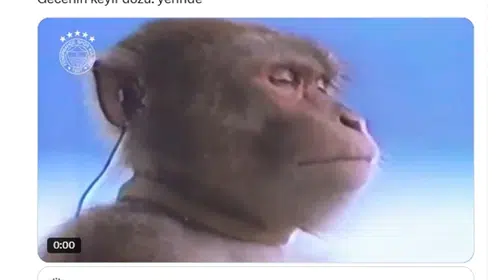 FENERBAHÇE’DEN GALATASARAY’I OLDUKÇA KIZDIRAN MAYMUNLU PAYLAŞIM!