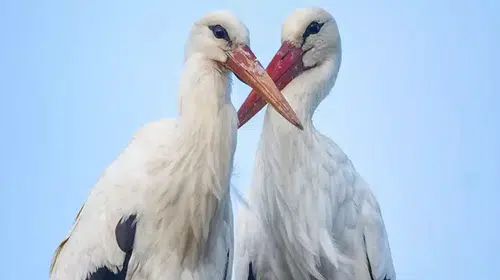 YAZIN HABERCİSİ YAREN LEYLEĞİN EŞİ NAZLI BURSA'YA GELDİ!