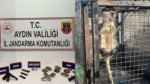 KUŞADASI'NDA RUHSATSIZ SİLAHLAR İLE BİR MAYMUN ELE GEÇİRİLDİ!
