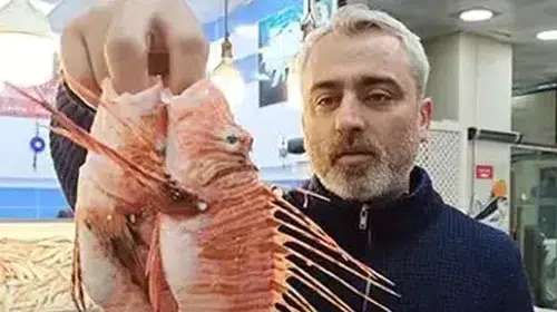 TEZGAHTA SATIŞI YASAK BALIĞIN ÖZEL MÜŞTERİSİ VAR!