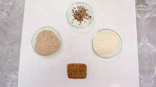 ALZHEİMER KANSER VE DİABETİ BU BİSKÜVİ ÖNLEYECEK!