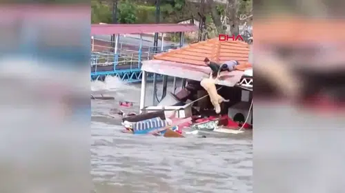 SAHİBİ "PAŞA" ADLI KÖPEĞİNİ SELDEN BÖYLE KURTARDI!
