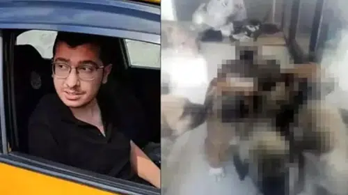 "KÖPEKLERİ ÖLDÜRME" VE "HAYVANLARA CİNSEL İSTİSMAR" DAVASI SONUÇLANDI!