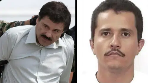 KARTEL LİDERLERİNE OPERASYONLAR NEDEN 22 ŞUBAT’TA YAPILIYOR?