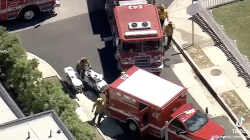 AMERİKA’DA ESPTEİN’İN OLAYLARINI FİLM VE BELGESEL YAPANLAR ÖLDÜRÜLÜYOR!