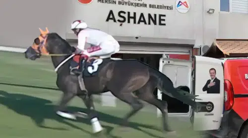 MERSİN'DE KAVURMA OLAN ŞAMPİYON AT 50 BİN TL'YE SATILMIŞ!