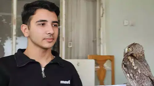 HATAYLI BERK YARALI İSHAK KUŞUNA SAHİP ÇIKARAK İYİLEŞTİRDİ!