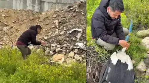GÖÇ YOLLARINDAKİ LEYLEKLERİ VURAN VİCDANSIZLAR ARANIYOR!