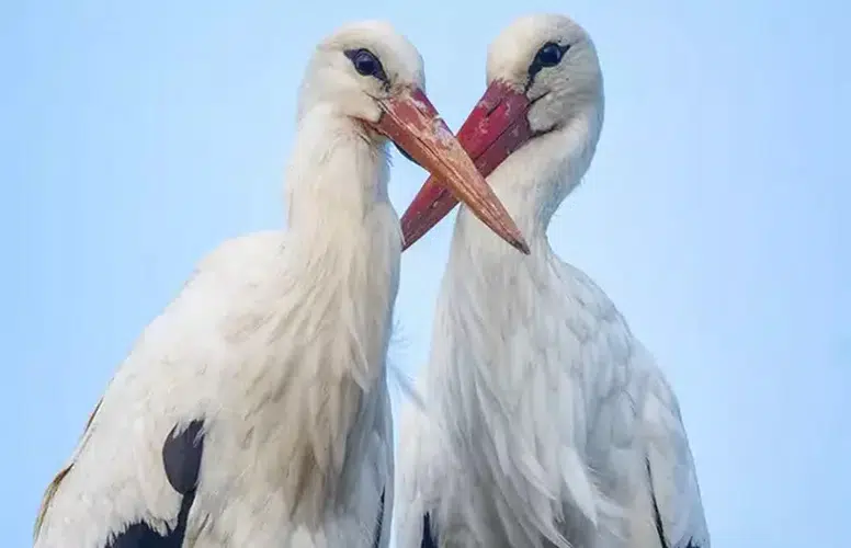 YAZIN HABERCİSİ YAREN LEYLEĞİN EŞİ NAZLI BURSA'YA GELDİ!