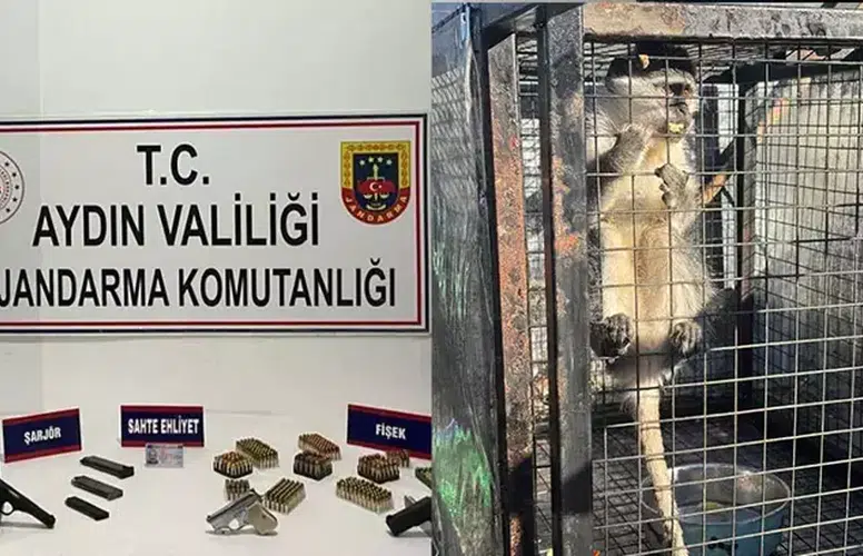KUŞADASI'NDA RUHSATSIZ SİLAHLAR İLE BİR MAYMUN ELE GEÇİRİLDİ!