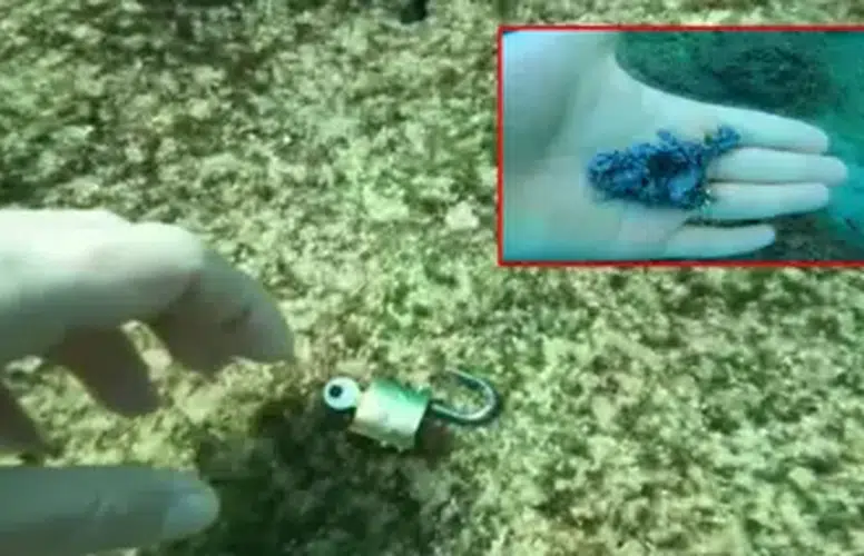 ANTALYA’DA DENİZ TEMİZLİĞİ SIRASINDA ÇIKANLAR ÇOK ŞAŞIRTIYOR!