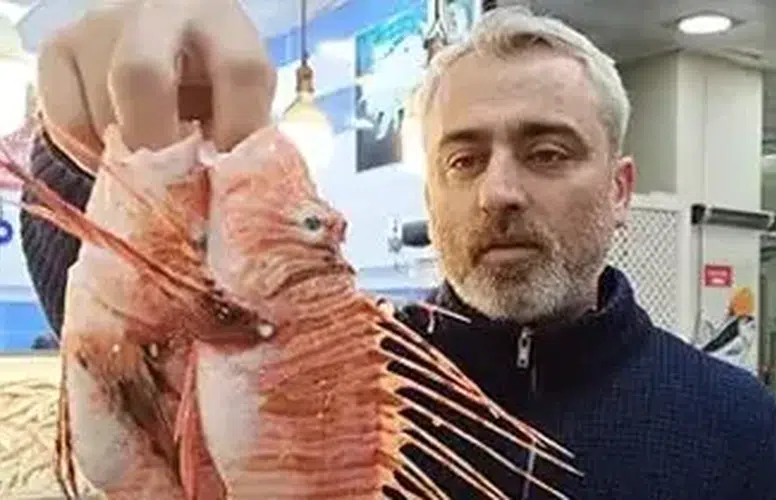 TEZGAHTA SATIŞI YASAK BALIĞIN ÖZEL MÜŞTERİSİ VAR!