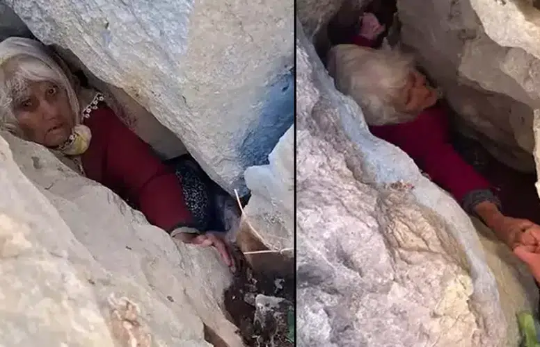 HAYVAN OTLATMAYA ÇIKAN YAŞLI KADIN BÖYLE BULUNDU!
