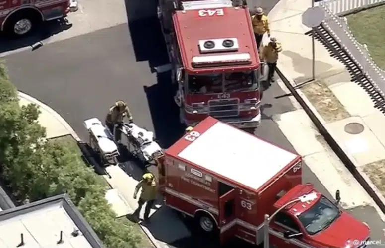 AMERİKA’DA ESPTEİN’İN OLAYLARINI FİLM VE BELGESEL YAPANLAR ÖLDÜRÜLÜYOR!