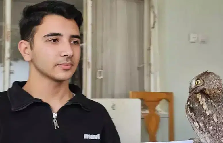 HATAYLI BERK YARALI İSHAK KUŞUNA SAHİP ÇIKARAK İYİLEŞTİRDİ!