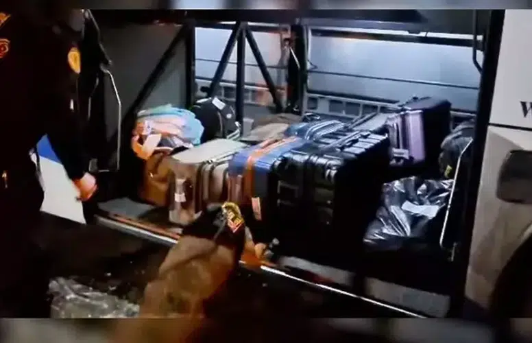 TÜRKİYE'NİN 73 ŞEHRİNDE UYUŞTURUCU OPERASYONU YAPILDI!