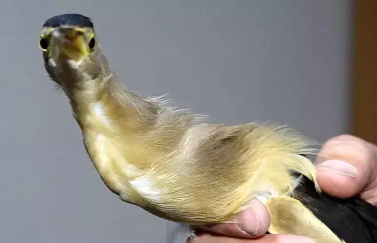 DERSTEKİ TEORİ OKULUN BAHÇESİNDE PRATİĞE DÖNÜŞTÜ!