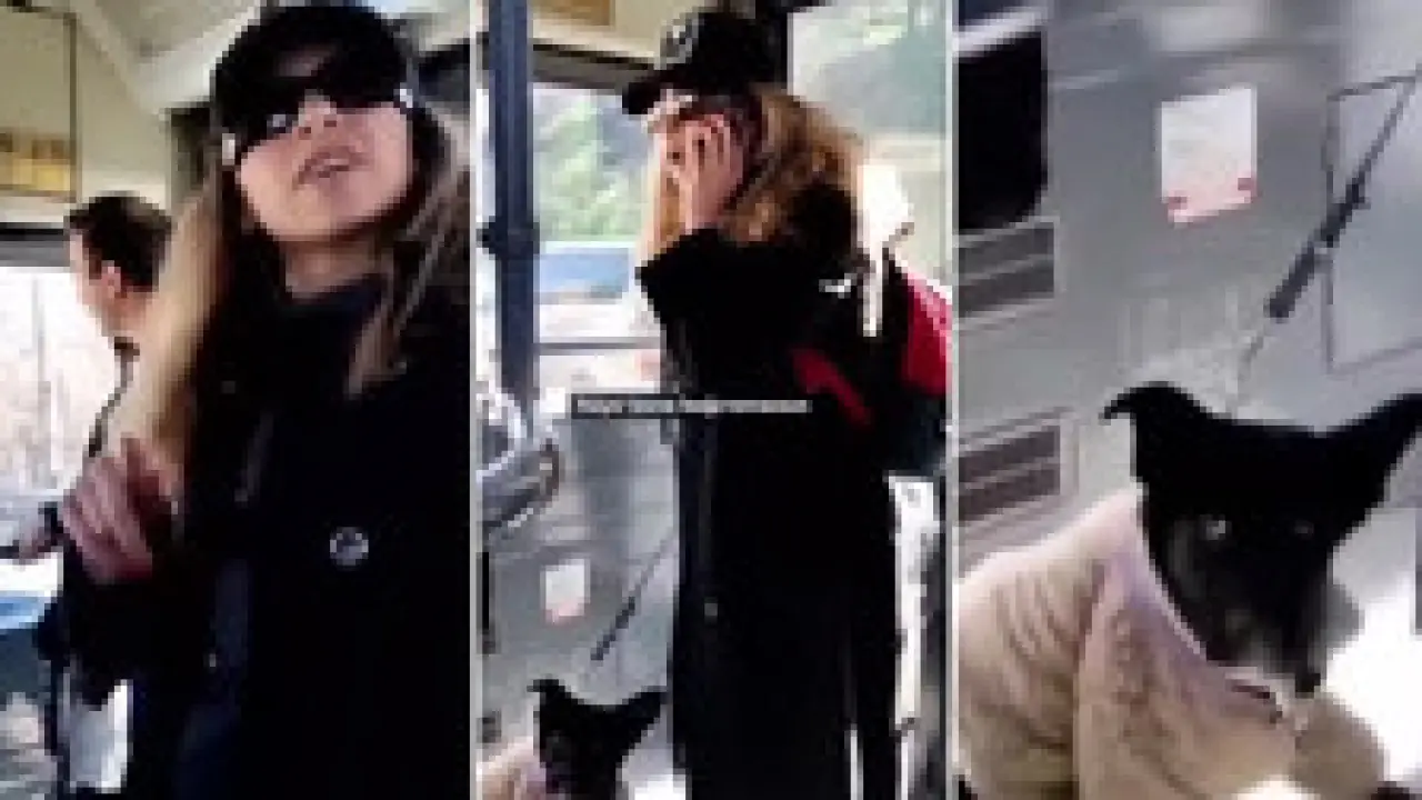 "Savcıyım" deyip terör estiren kadının asıl mesleği bakın ne çıktı