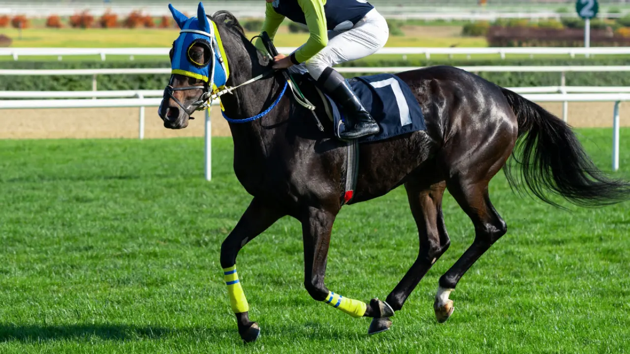 Şampiyon at nasıl kavurma oldu? Latch’ın başına gelenler gün yüzüne çıktı - Sayfa 2