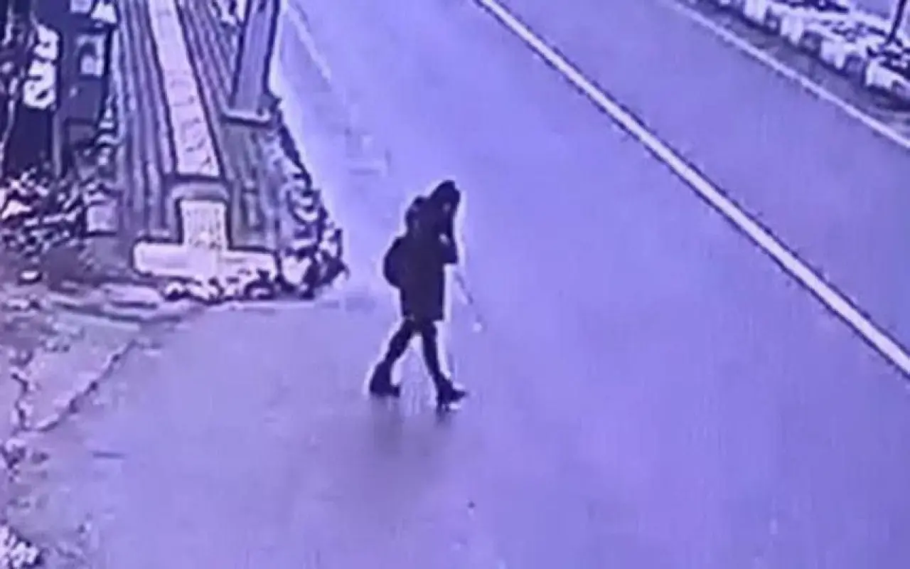 Gülistan Doku dosyasında şok gelişme! Zeinal Abakarov'un çelişkili ifadesi ortaya çıktı - Sayfa 2